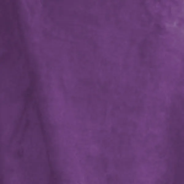 50 x 60 Ultra Soft Micro Fleece Blanket (Q606211)