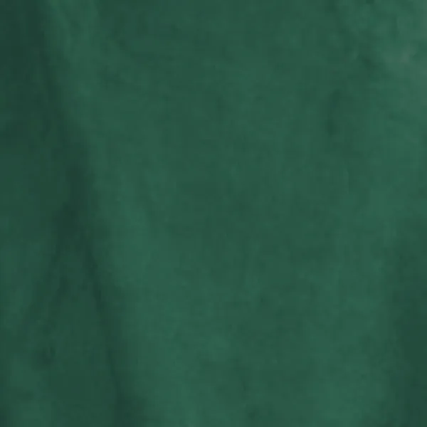 50 x 60 Ultra Soft Micro Fleece Blanket (Q606211)
