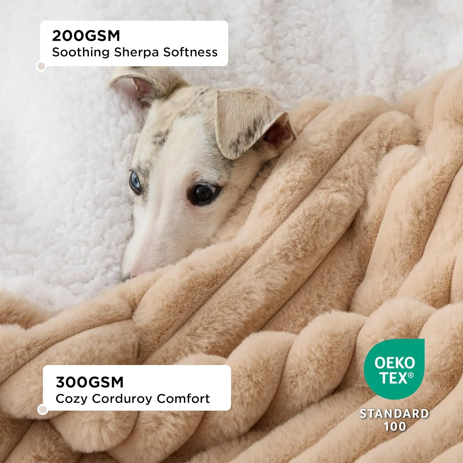 Bedsure Waterproof Dog Blankets for Medium Dogs - Soft Puppy Cat Blanket Corduroy Fleece Washable, Cozy Calming Reversible Furniture Protection for Pet Kitten Doggy,30"x40", Tuscan Beige