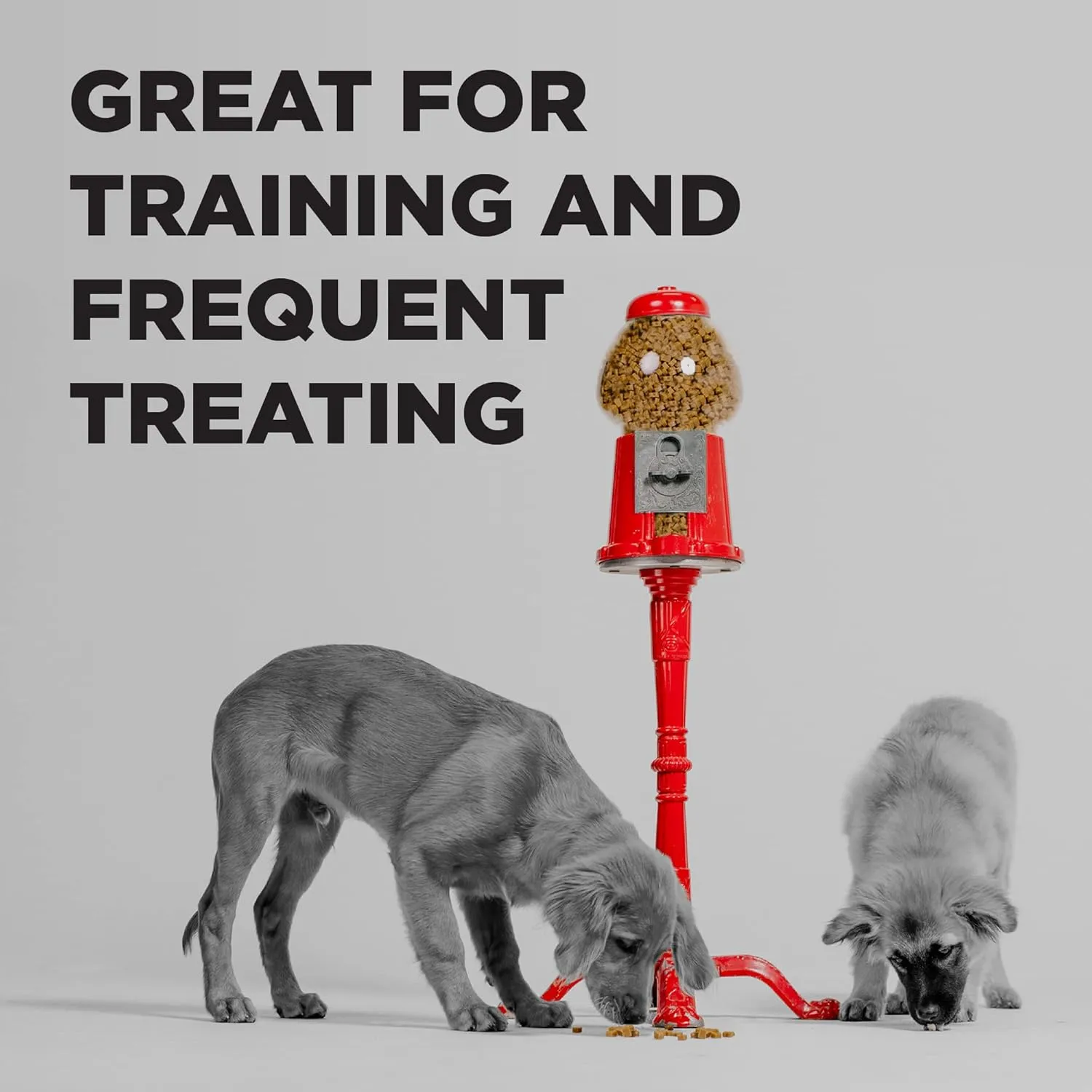 BIXBI Liberty Trainers, Bacon (12.5 oz, 1 Pouch) - Small Training Treats for Dogs - Low Calorie and Grain Free Dog Treats, Flavorful Pocket Size Healthy and All Natural Dog Treats