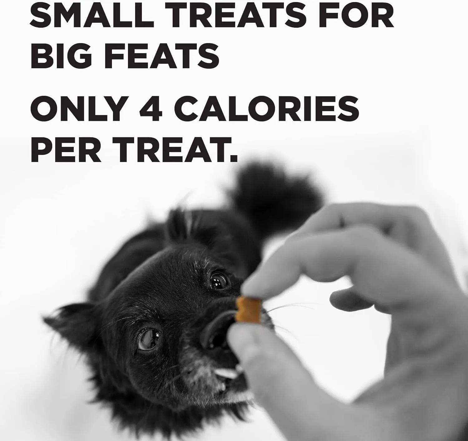 BIXBI Liberty Trainers, Bacon (12.5 oz, 1 Pouch) - Small Training Treats for Dogs - Low Calorie and Grain Free Dog Treats, Flavorful Pocket Size Healthy and All Natural Dog Treats