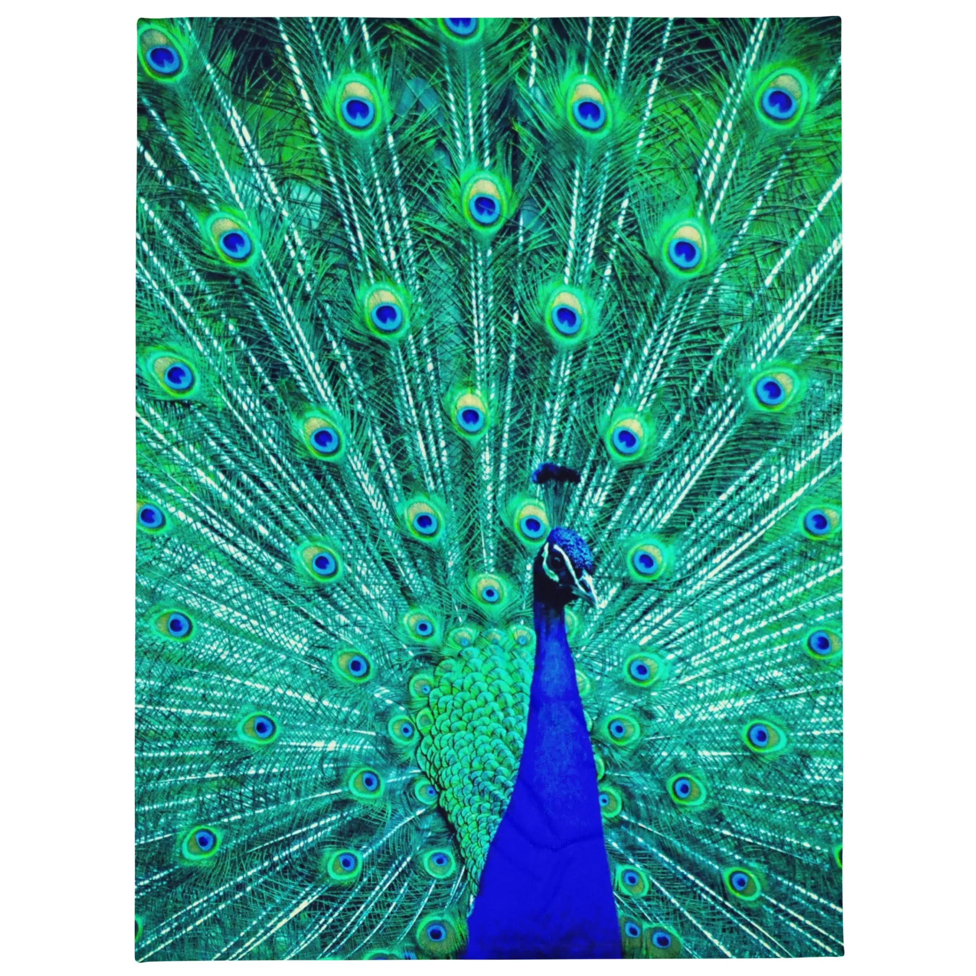 Blue peacock print throw blanket, lioness-love