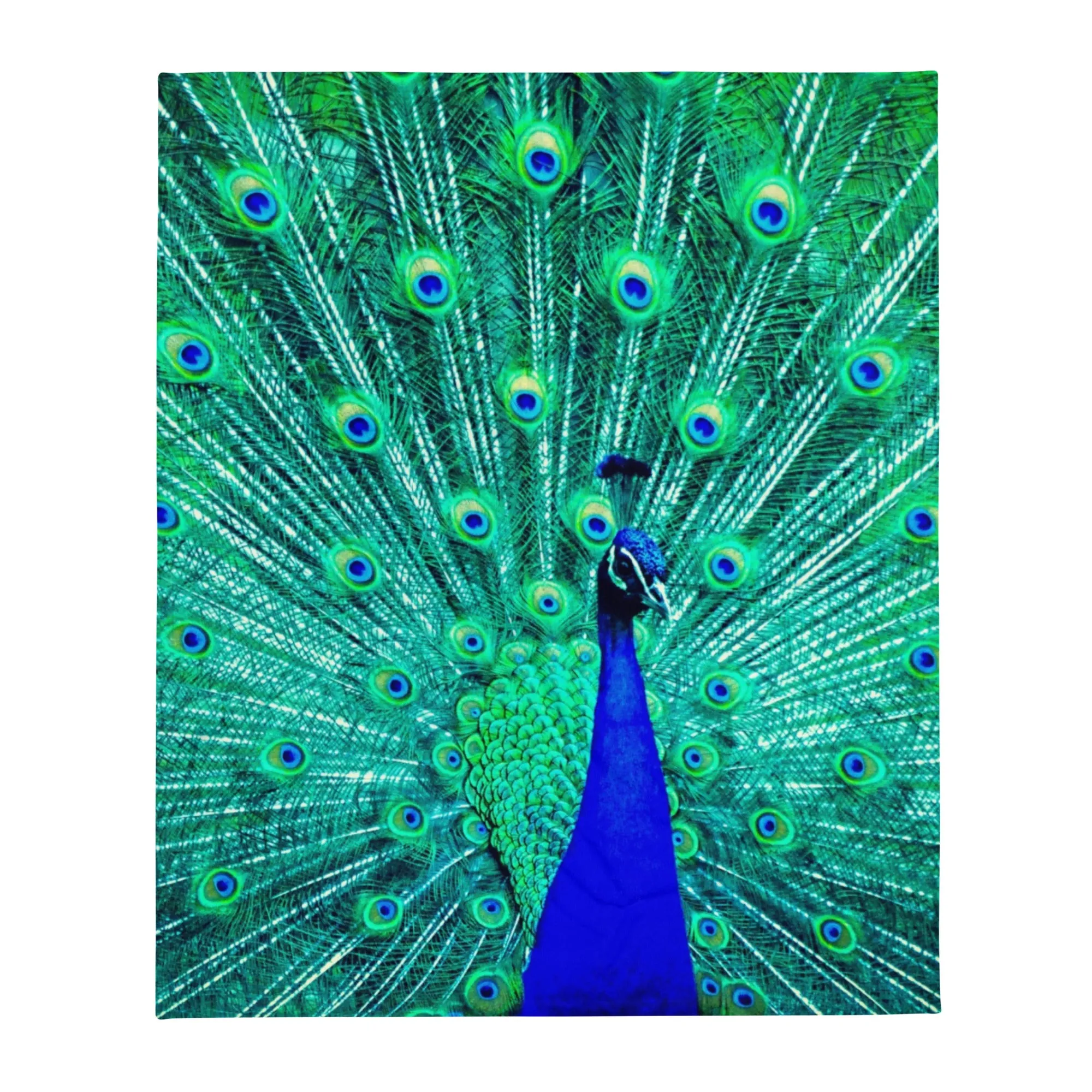 Blue peacock print throw blanket, lioness-love