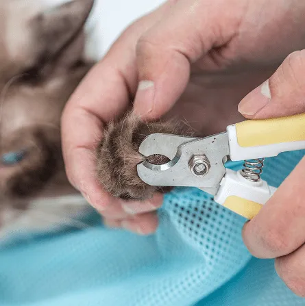 Cat Grooming and Bathing Bag