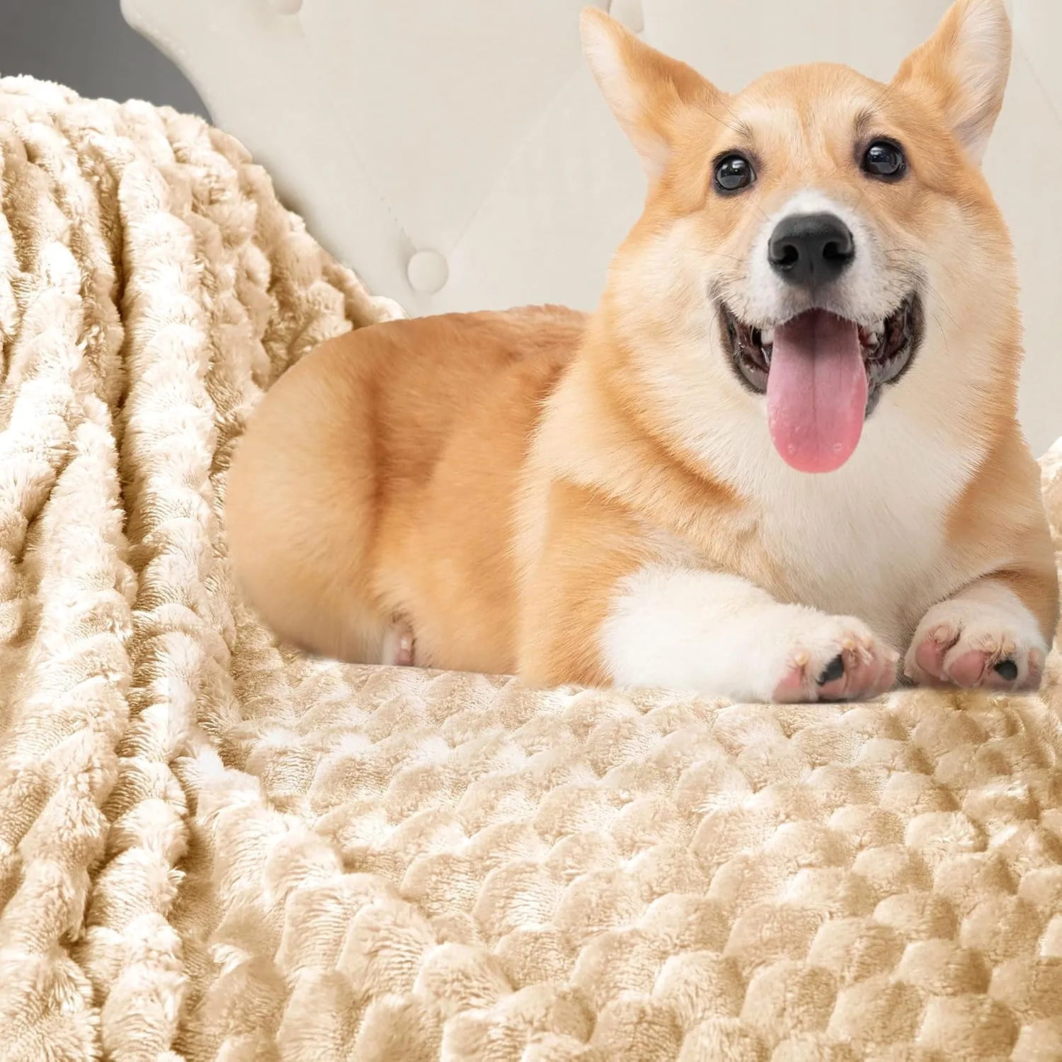 DREAMNINE Oversized Soft Plush Fleece Throw Blanket for Couch Bed 60" x 80", Luxury Shaggy Lightweight 3D Patterned Velvet Flannel Blanket, Solid Cute Warm Lap Blanket for Winter Pet, Twin Size, Beige