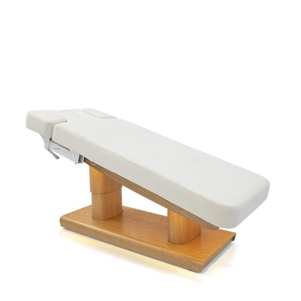 Electric Spa and Massage Bed