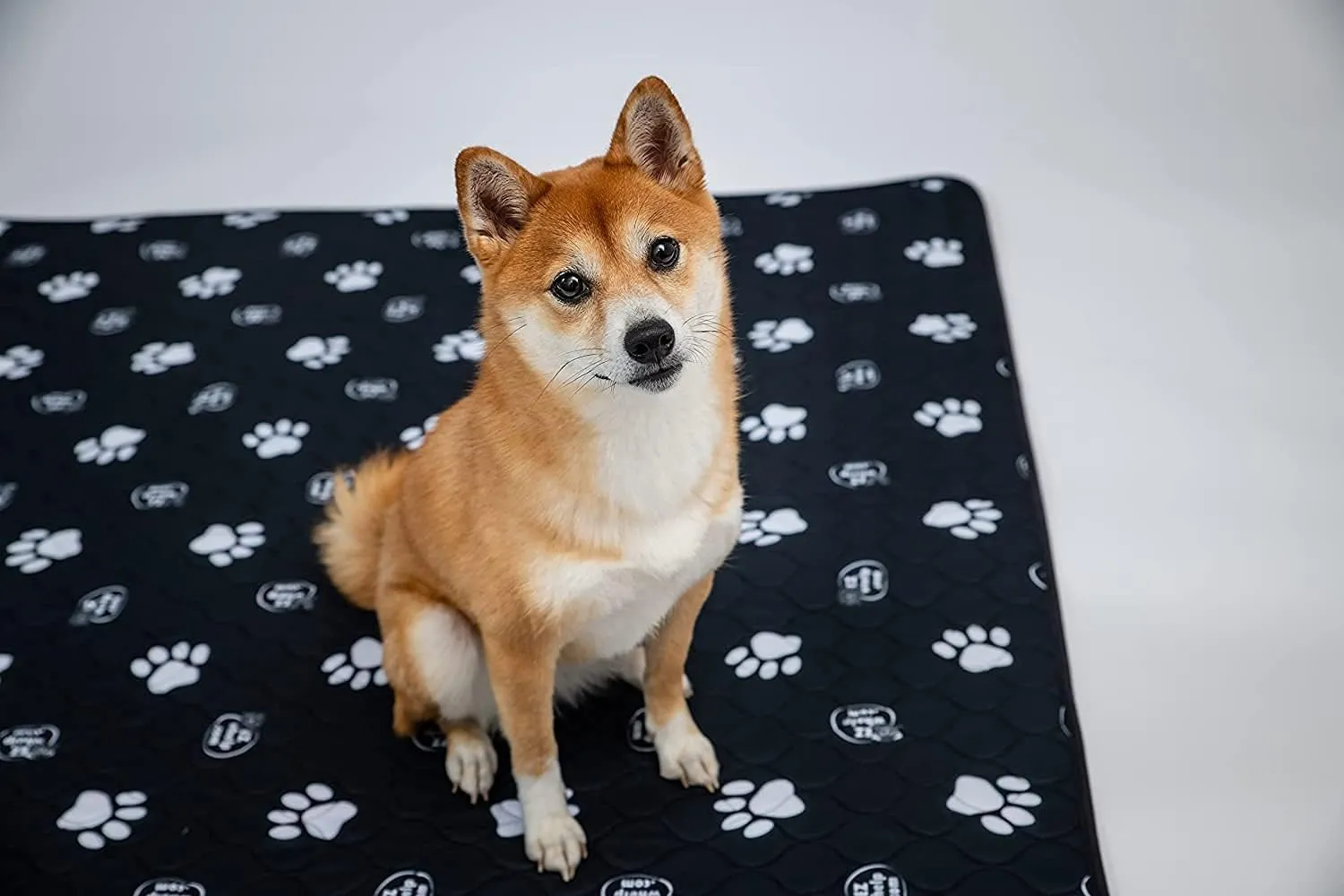 EZwhelp Reusable Dog Pee Pads, Washable Waterproof Mats for Dog Potty Training or Whelping Pads, 24x48 Inch, 2 Pack