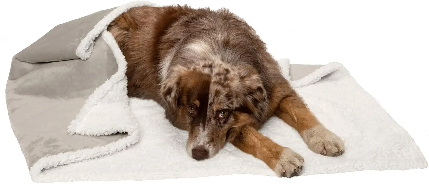 Furhaven Waterproof & Self-Warming Throw Blanket for Dogs & Indoor Cats, Washable & Reflects Body Heat - Terry & Sherpa Dog Blanket - Dove, Large