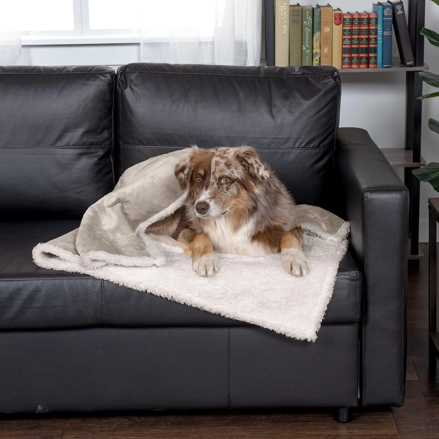 Furhaven Waterproof & Self-Warming Throw Blanket for Dogs & Indoor Cats, Washable & Reflects Body Heat - Terry & Sherpa Dog Blanket - Dove, Large