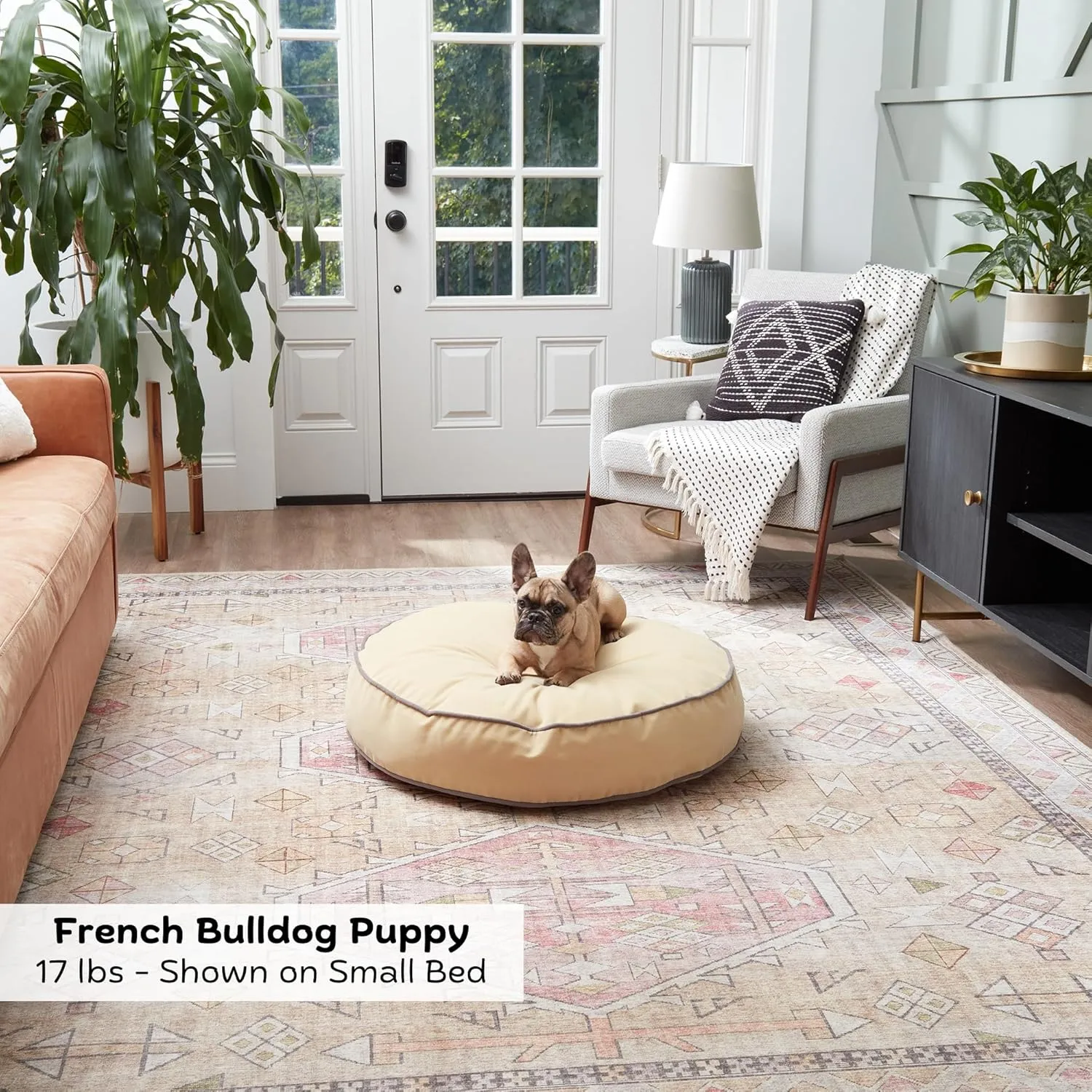 Happy Hounds Scout Round Reversible Pillow Dog Bed, Small (30" x 30"), Beige