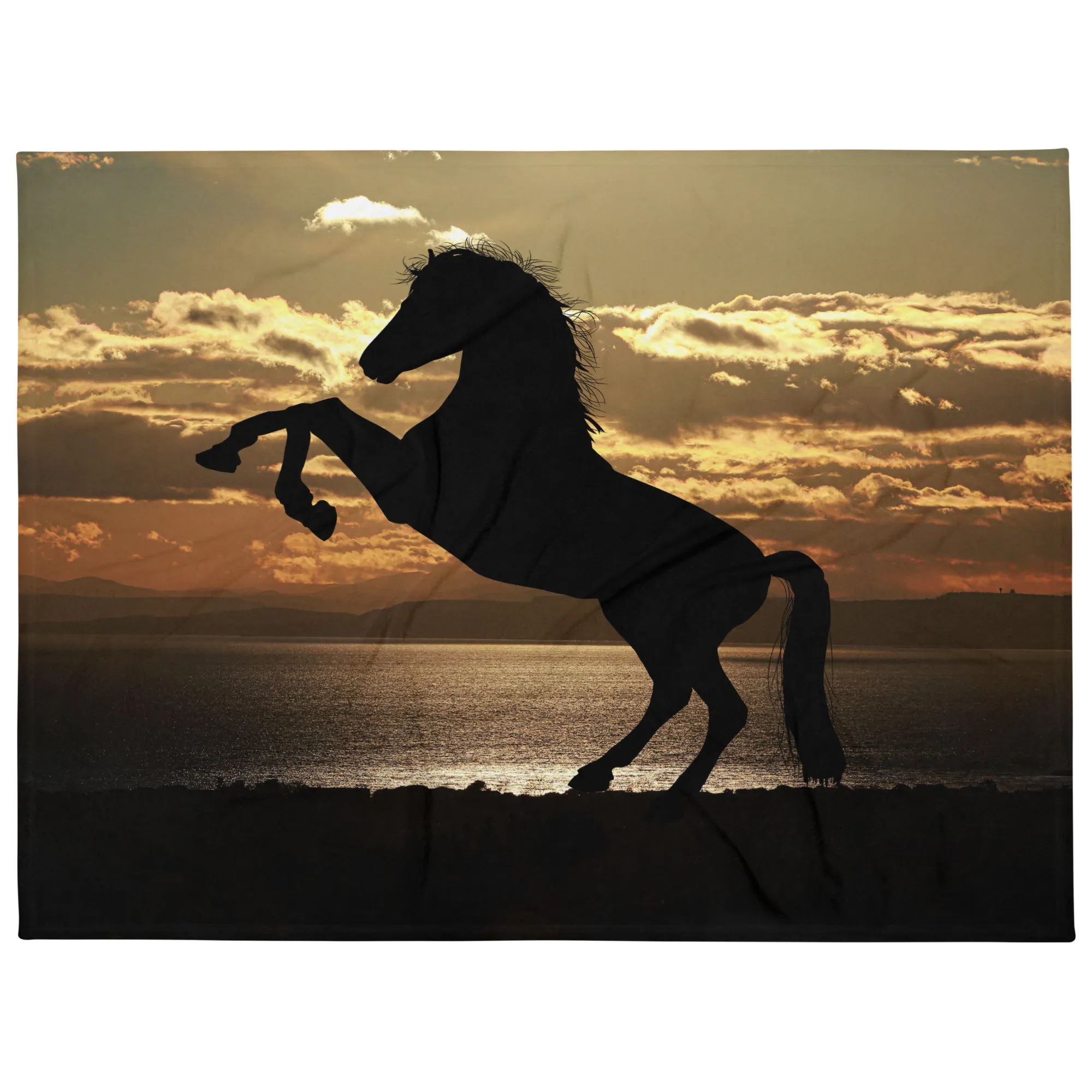 Horse Lover Black horse fine art throw blanket