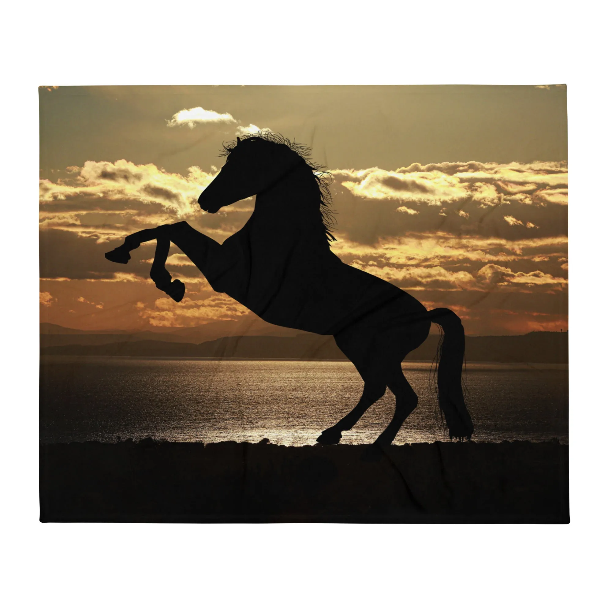 Horse Lover Black horse fine art throw blanket