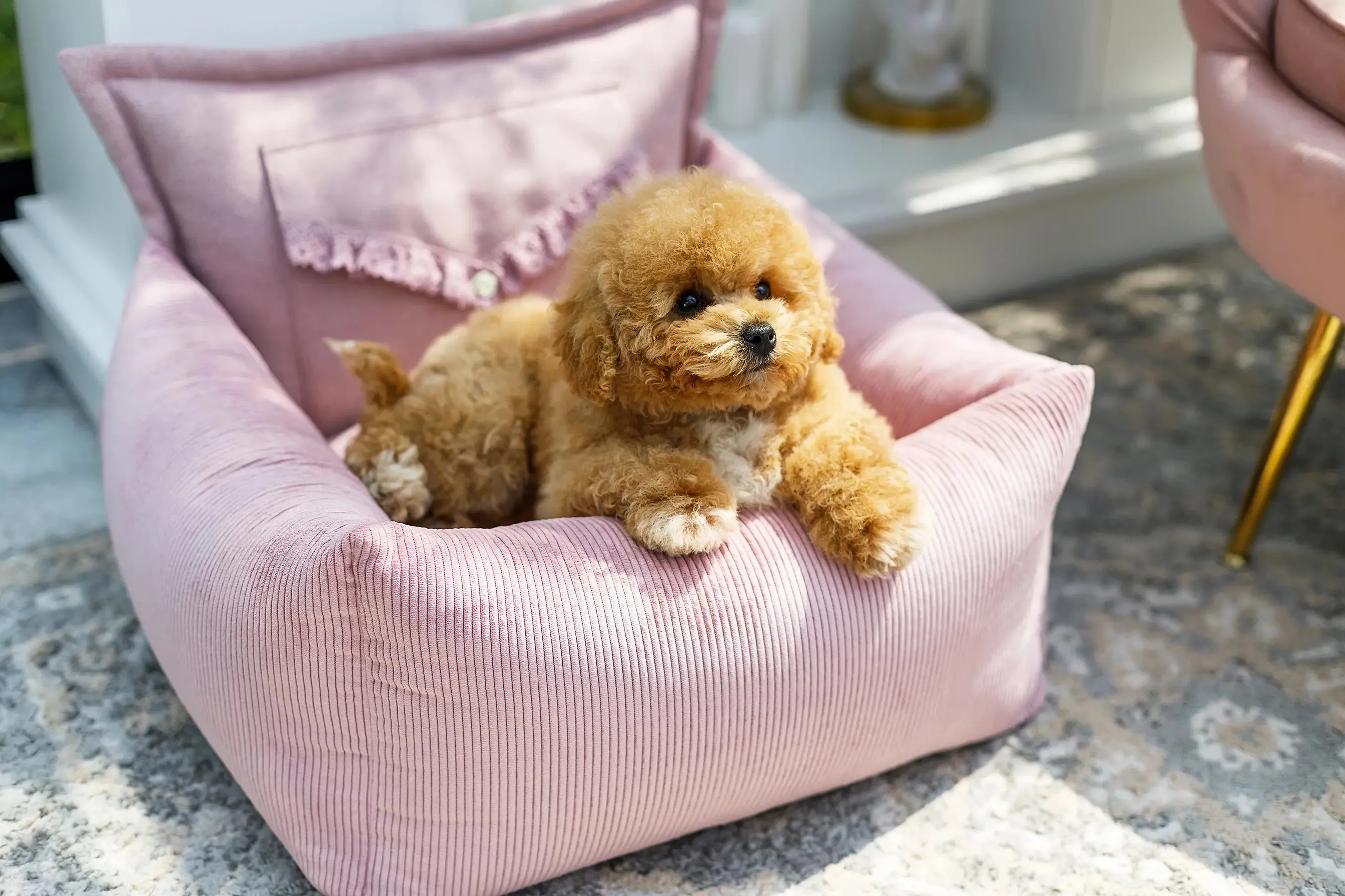 Oh Charlie Dog Car Seat Bed Mademoiselle