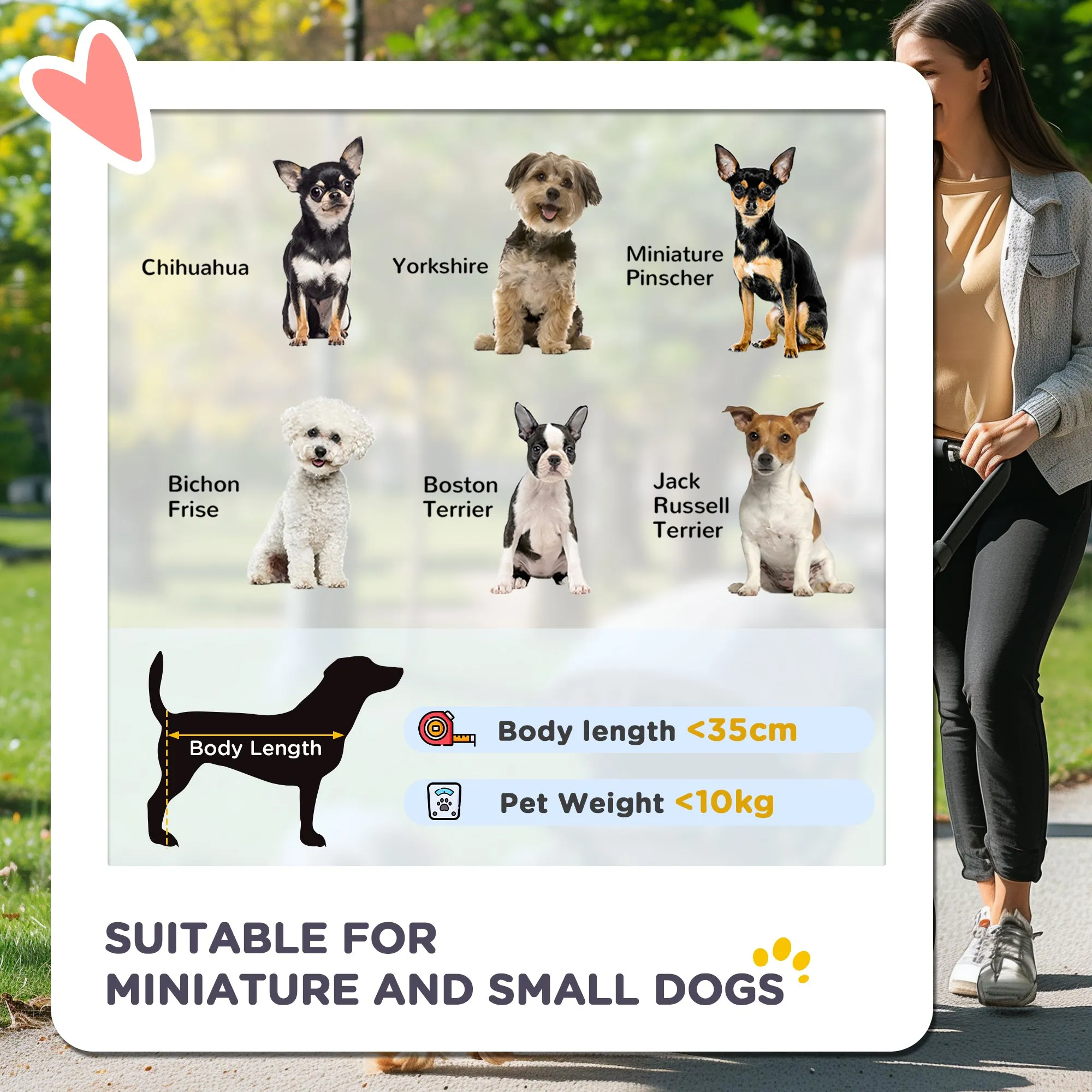 PawHut Pet Stroller Carrier Foldable Deluxe Walk Travel Dog Dark Grey