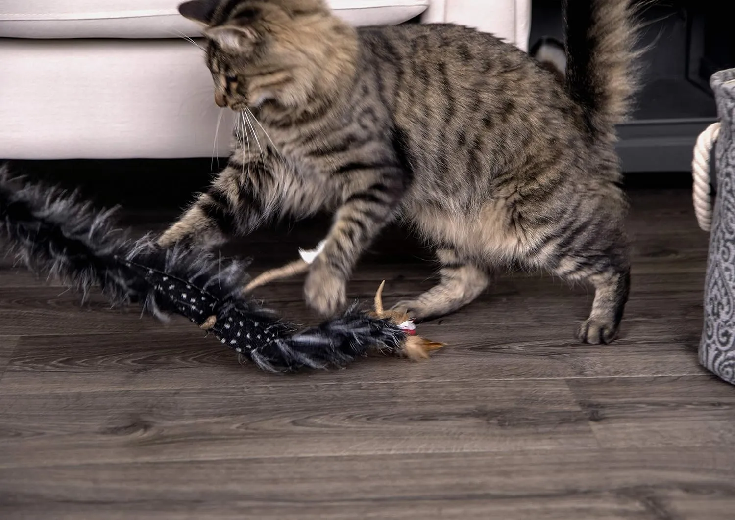 Petlinks Plume Crazy Wand Cat Toy - Randomly Selected Color, One Size