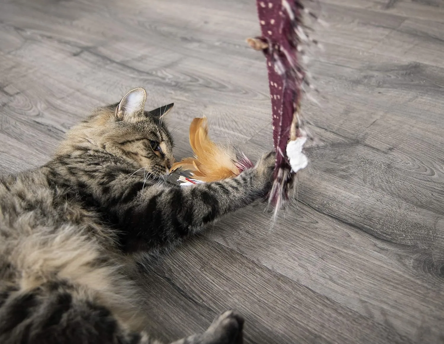 Petlinks Plume Crazy Wand Cat Toy - Randomly Selected Color, One Size