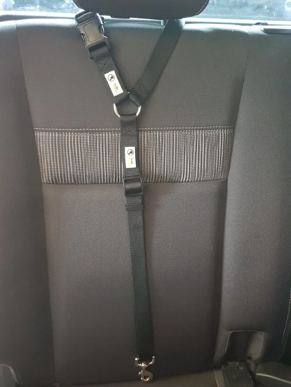 Pimp Out My Car Bundle for 2 Dogs