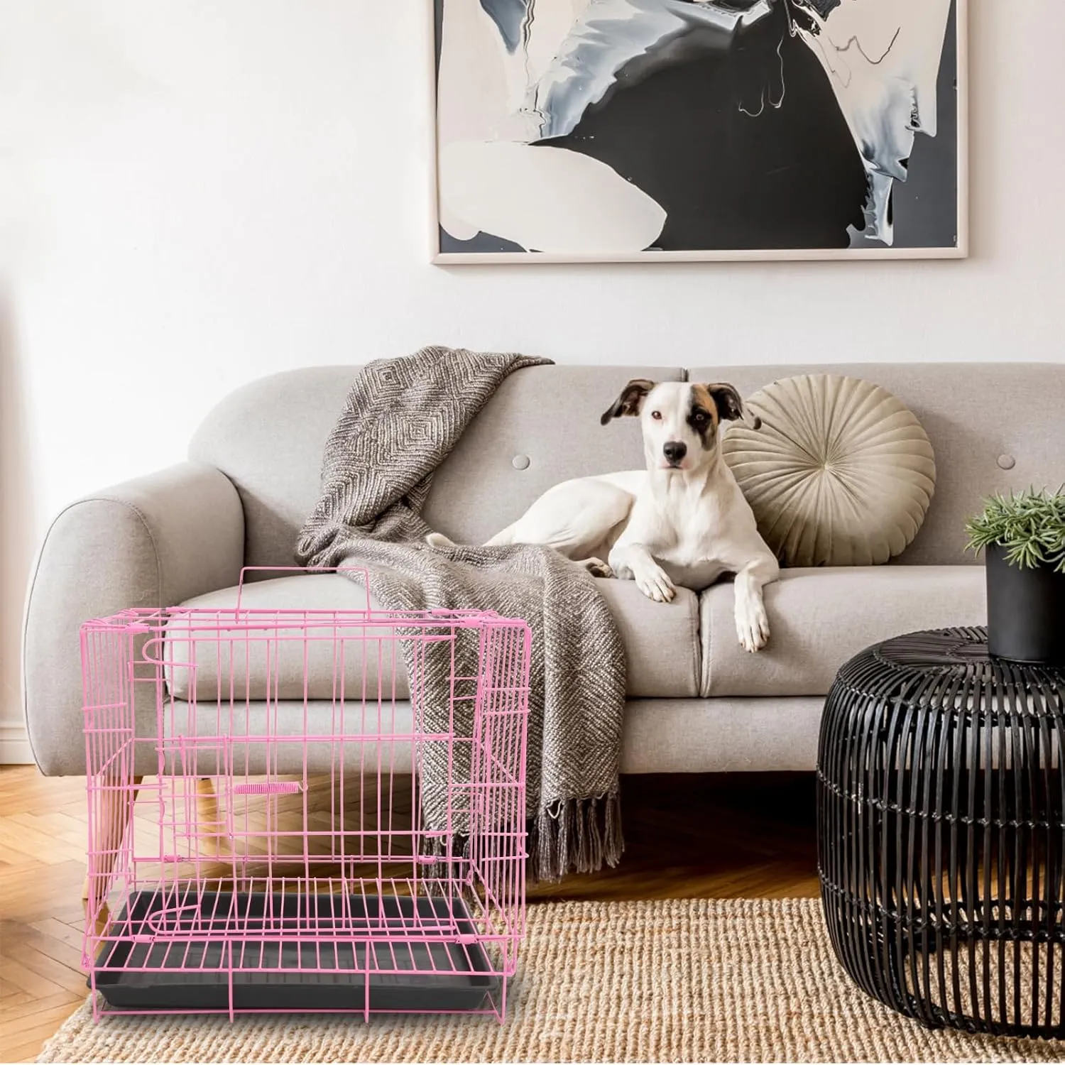 POPETPOP Puppy Crate, 14 Inch Small Wire Kennel with Divider Panel, Folding Indoor Metal Dog Cage, Portable Pet Cage House for Cat Rabbit Puppy Travel