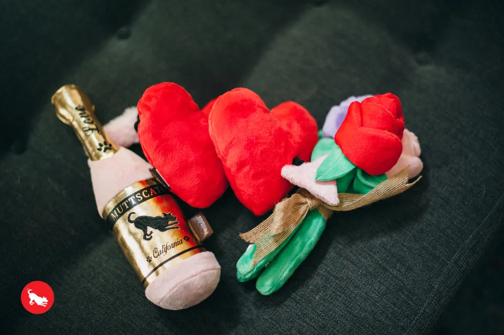 Puppy Love, Dog Squeaky Plush Toys, Fur-ever Hearts