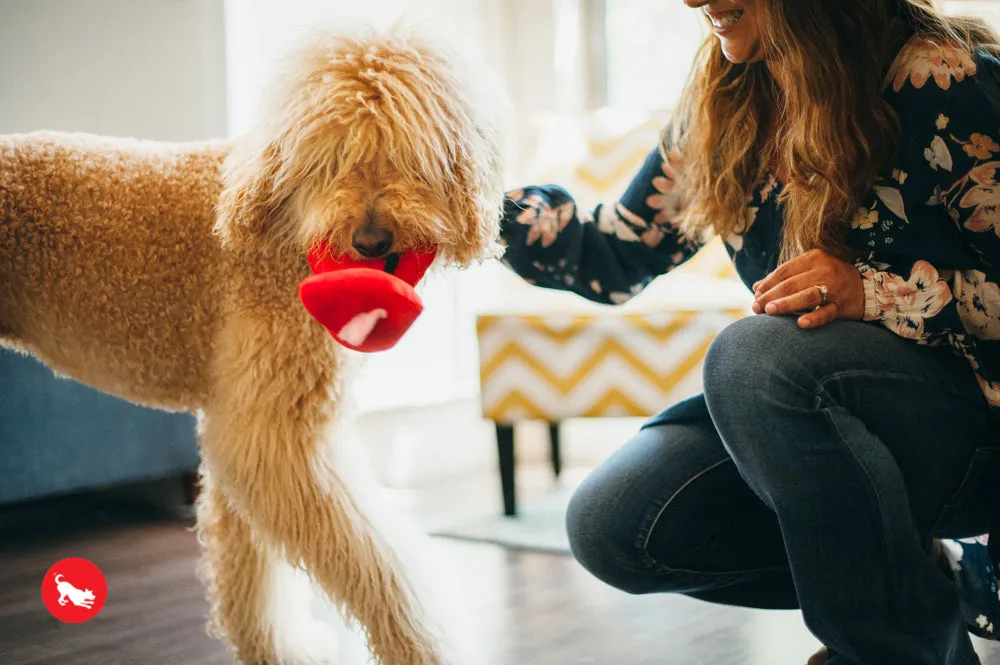 Puppy Love, Dog Squeaky Plush Toys, Fur-ever Hearts