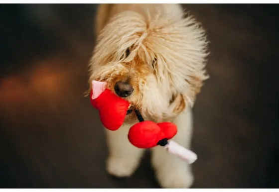 Puppy Love, Dog Squeaky Plush Toys, Fur-ever Hearts