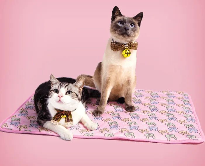 Summer Cooling Mat