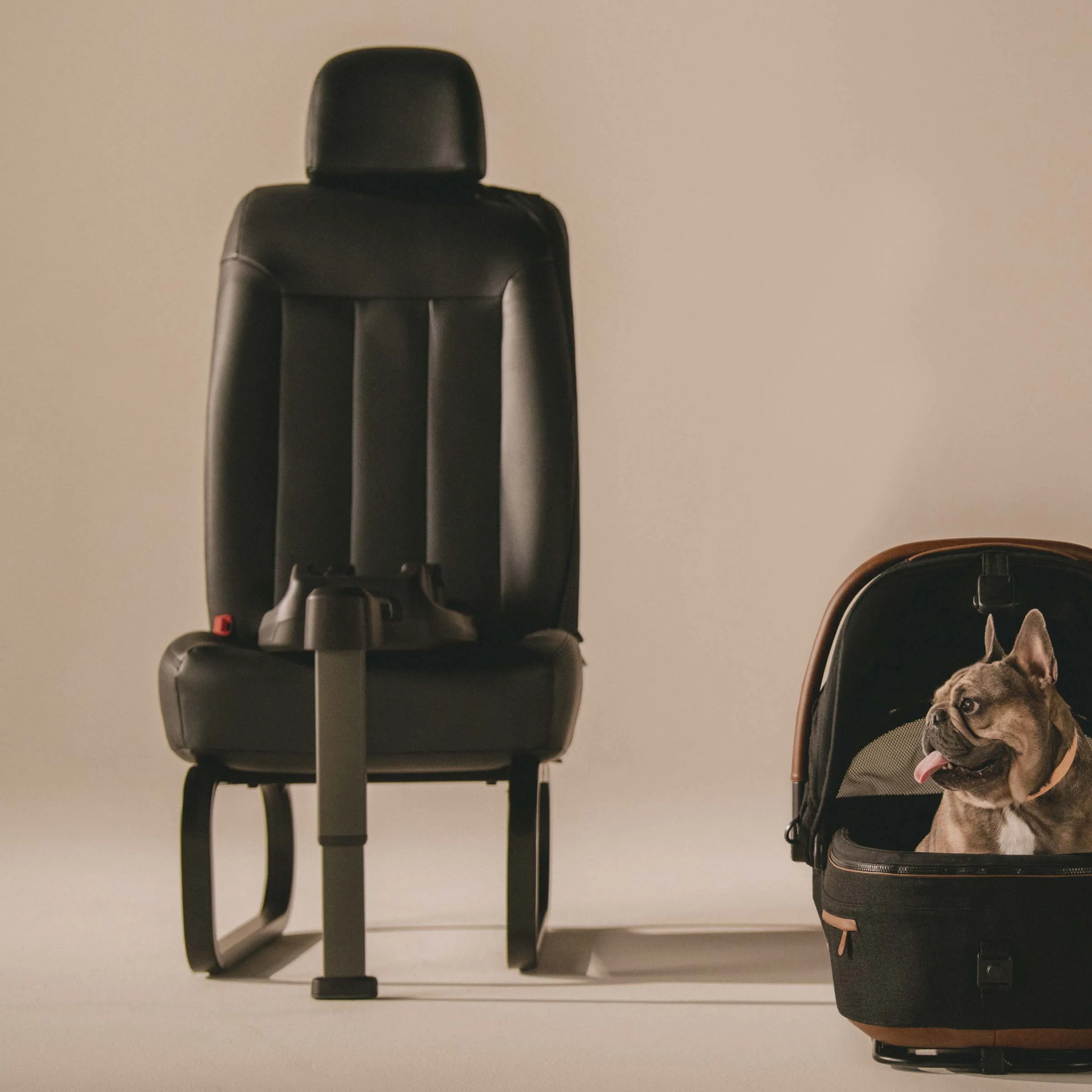 Tavo Pets by Nuna - Vehicle Base for Maeve™ Pet Car Seat