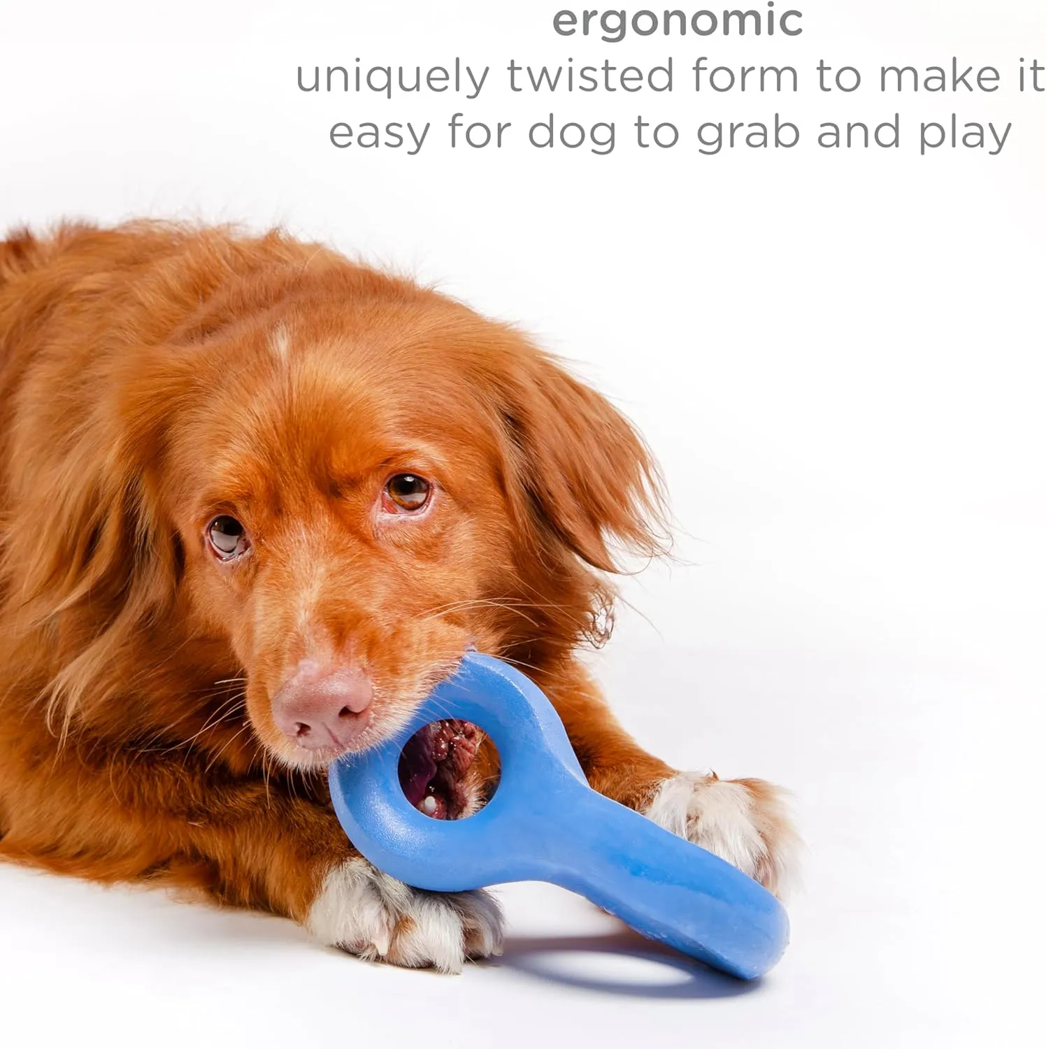 Ubbi Chomp Toy for Medium to Large Dog Breeds, Durable Natural Rubber, Blue