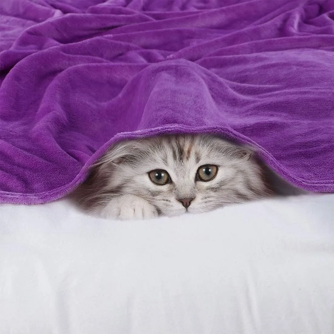 uxcell Pet Dog Blanket, Flannel Fleece Puppy Blanket Solid Plush Warm Rug Blankets and Throws for Small-Medium Dogs Cats Doggy Sleeping Mat, Purple 27x40 Inch