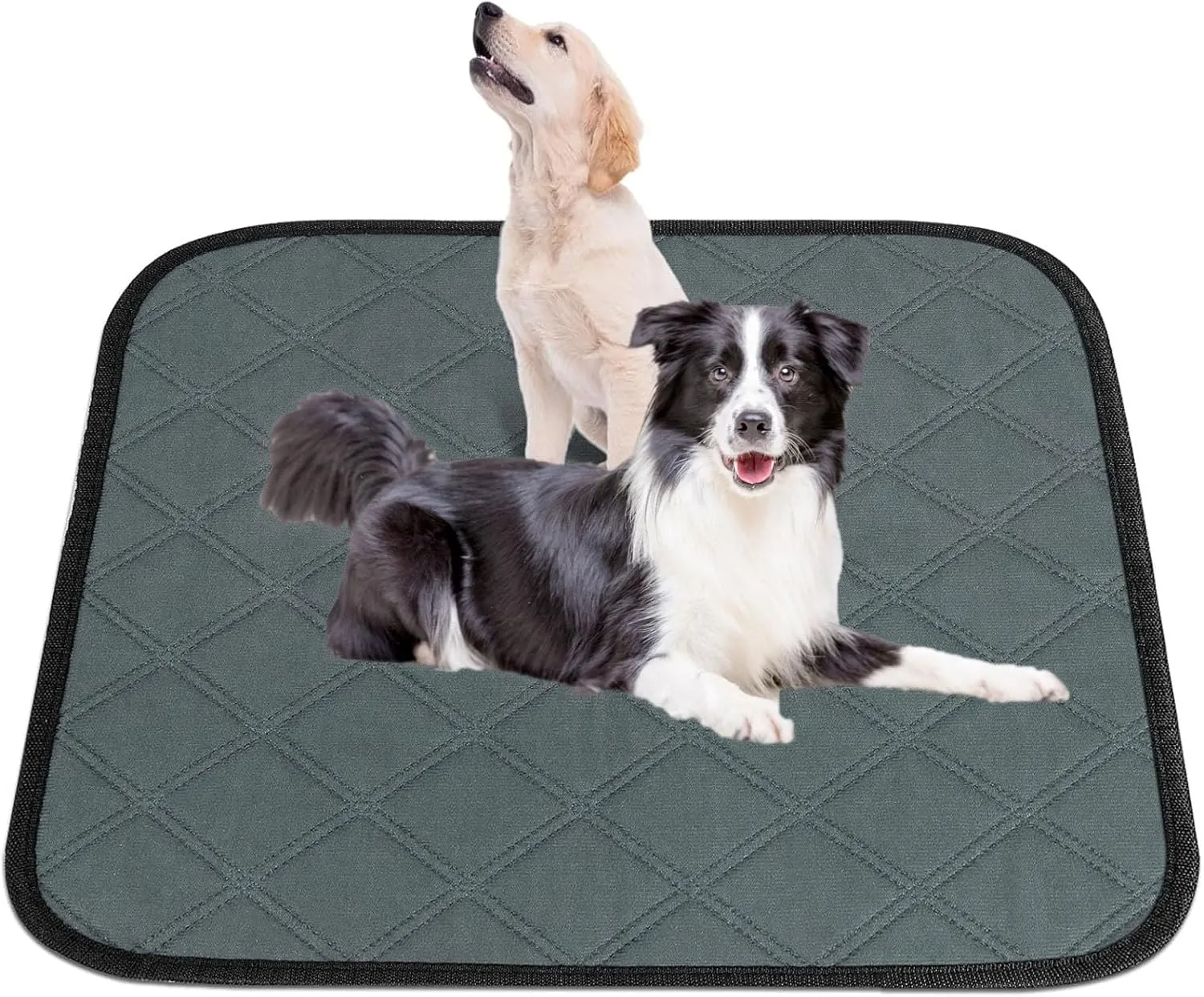 Washable Dog Urinal Pads 72 X 72 Inches for Potty Training Dogs Non-Slip Prevents Leakage Suitable for Small Medium and Large Dogs and Cats.