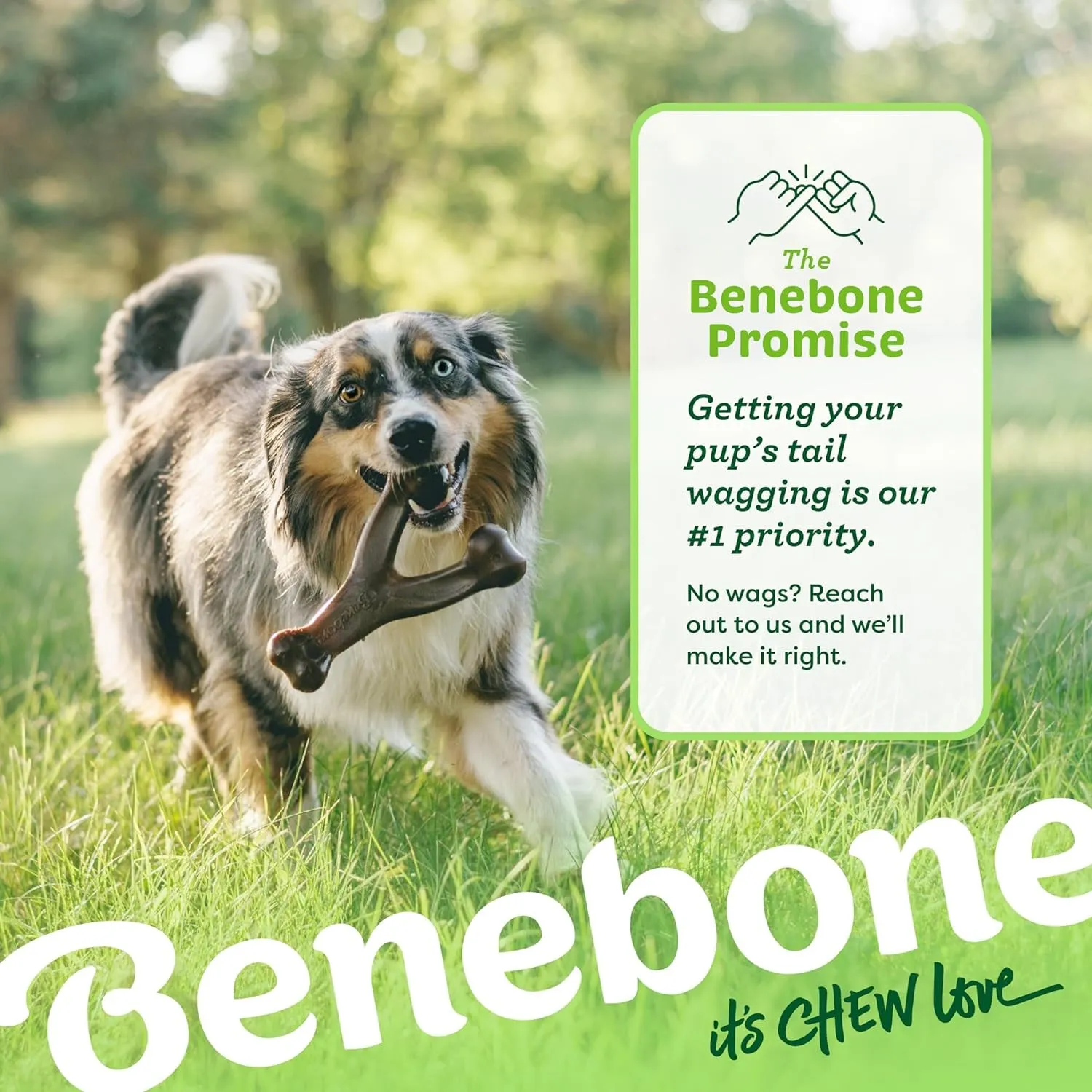 Wishbone Durable Dog Chew Toy